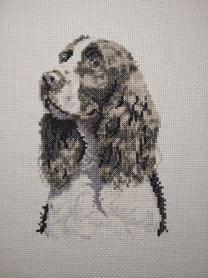 Работа «Спаниель»