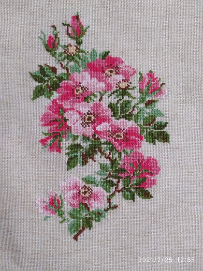 Работа «Красный шиповник. Набор от Риолис»