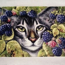 Работа «Кот в ежевике»