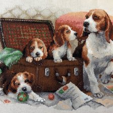 Работа «Собачье семейство»