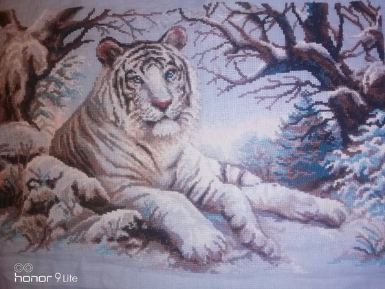 Работа «Тигр»