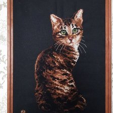 Работа «Кошка. РИОЛИС №946. Размер 26х38. Канва для вышивания №4»