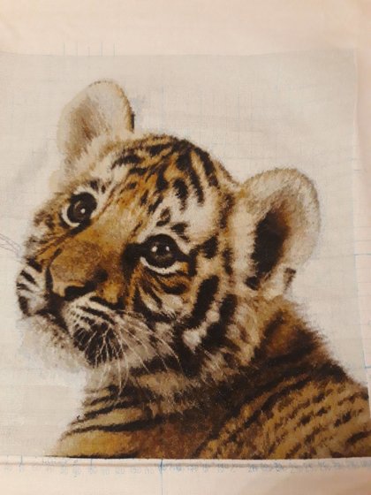 Работа «Тигренок»