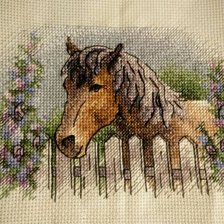 Работа «Герцог. Но я его называю Гаврюша!»