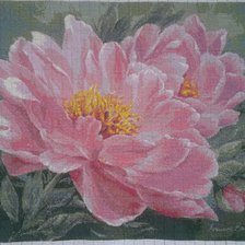 Работа «Пионы»