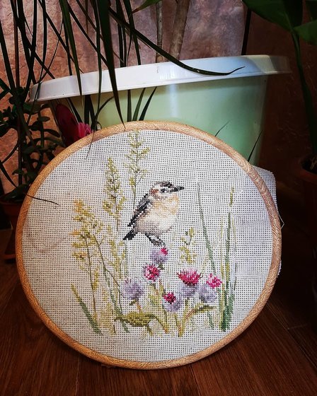 Работа «"Луговой чекан" от фирмы "Алиса"»