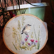 Работа «"Луговой чекан" от фирмы "Алиса"»