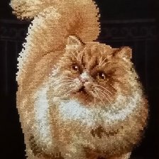 Работа «Кот рыжий (Риолис)»