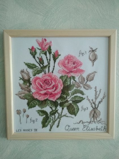 Работа «Ботанический этюд V. Enginger: Королева Елизавета»