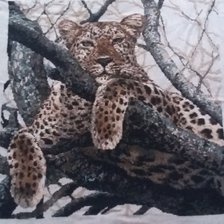 Работа «Леопард»