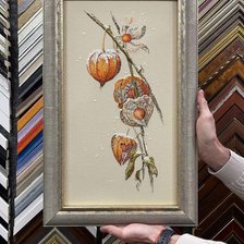 Работа «Физалис»