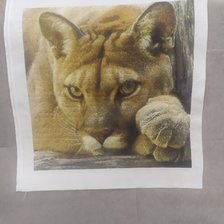 Работа «Пума»