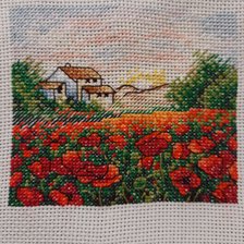 Работа «маковое поле»