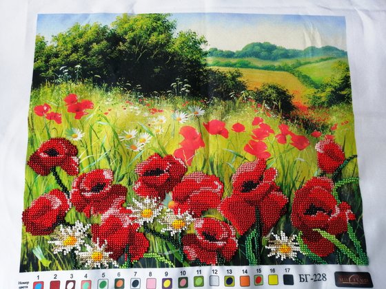 Работа «Маки  (28х35см)»