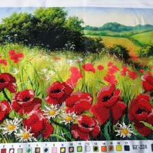 Работа «Маки  (28х35см)»