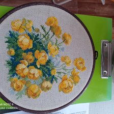 Работа «купавки Риолис»