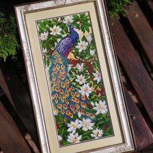 Работа «Павлін»