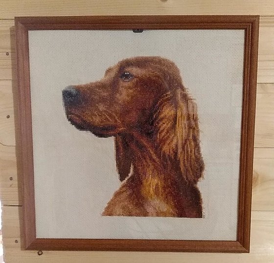 Работа «Ирландский сеттер»