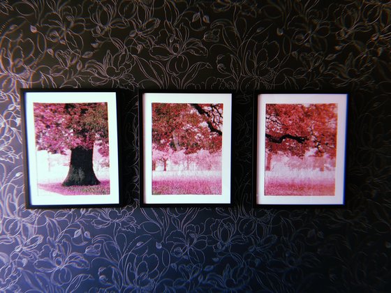 Работа «Сакура»