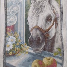 Работа «Любопытный сосед»