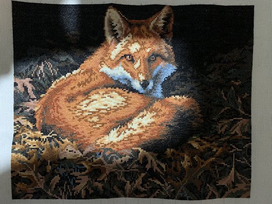 Работа «Fox»