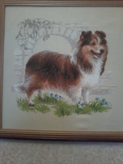 Работа «Шелти»