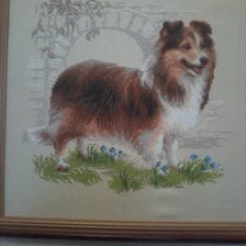 Работа «Шелти»