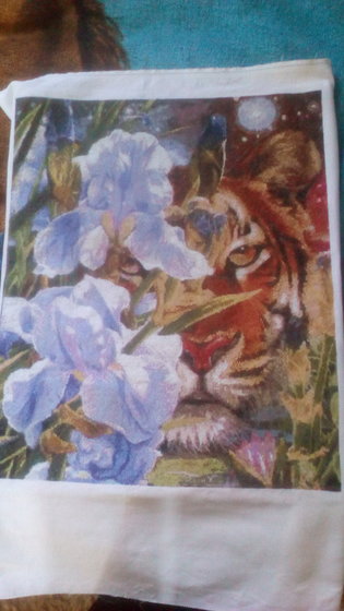 Работа «В ирисах от Химеры»