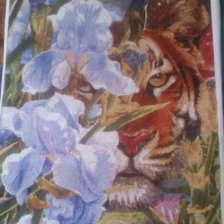 Работа «В ирисах от Химеры»