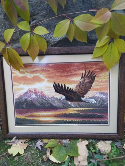 Работа «Тихий полет»