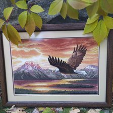 Работа «Тихий полет»