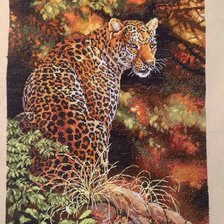 Работа «Леопард»