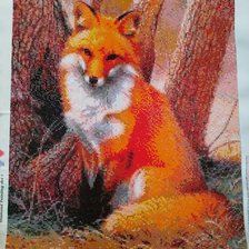 Работа «Рыжая красавица.»