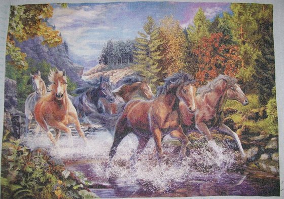 Работа «Свободный бег»