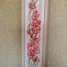 Работа «Гладиолусы»