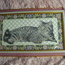 Работа «Котик»