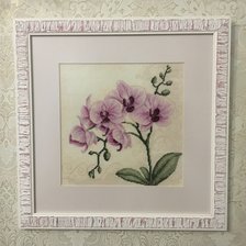 Работа «Орхидеи.»