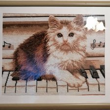 Работа «РС-Студия "Кот на пианино"»