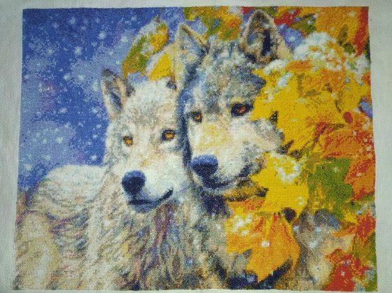 Работа «Волки»