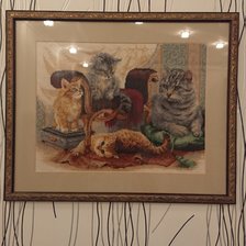 Работа «Кошачья семейкс»