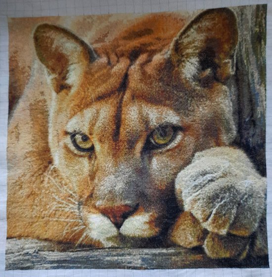 Работа «Пума»