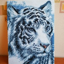 Работа «РС  Студия»