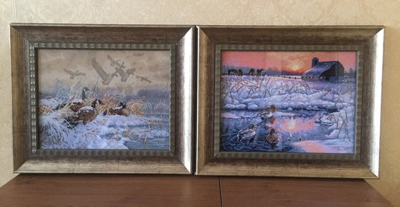 Работа «Мои утки»