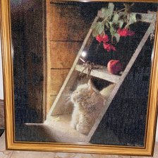 Работа «Домашним любимцам посвящается.»