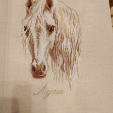 Работа «№91896»