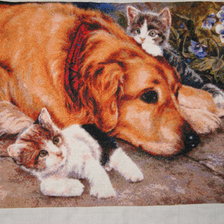 Работа «№91954»