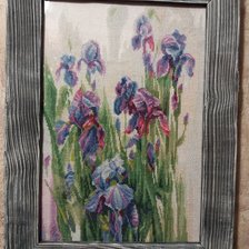 Работа «Ирисы»