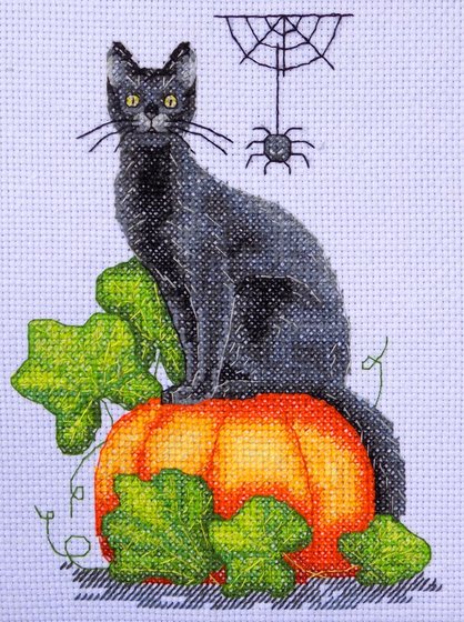 Работа «Черный кот.»