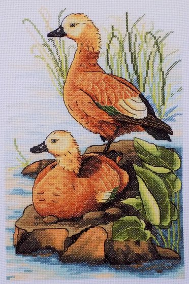 Работа «Парочка уток-огарей.»