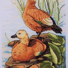 Работа «Парочка уток-огарей.»